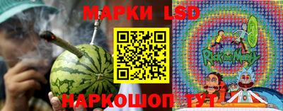 мяу мяу мука Будённовск
