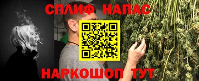 мяу мяу мука Будённовск