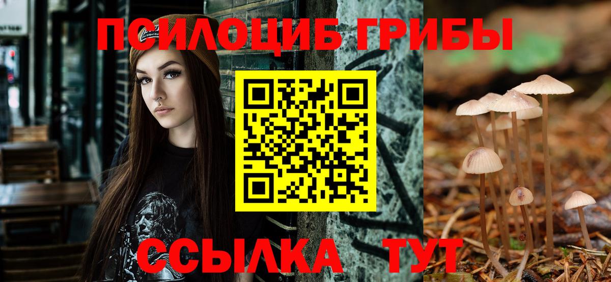 Галлюциногенные грибы Psilocybine cubensis Саров