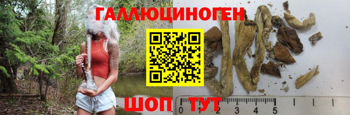 Саров  как найти   Вход с VPN  Галлюциногенные грибы Psilocybe  Псилоцибиновые грибы мицелий 